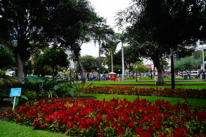 Parque Kennedy ubicado en miraflores