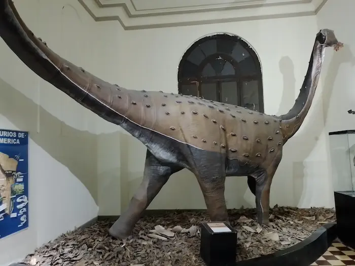 Museo de Historia Natural de la UNMSM