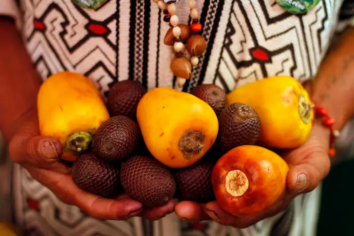 fruta de la selva peruana