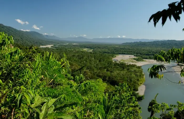 Parque Nacional del Manu