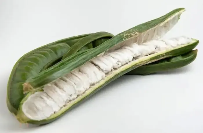 Guaba