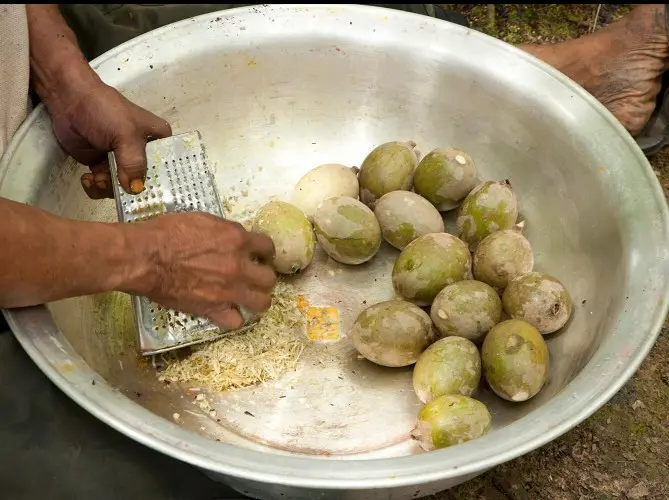 Huito