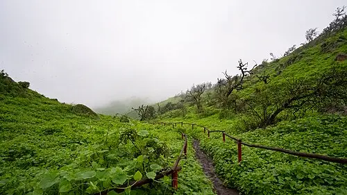 Reserva Nacional de Lachay