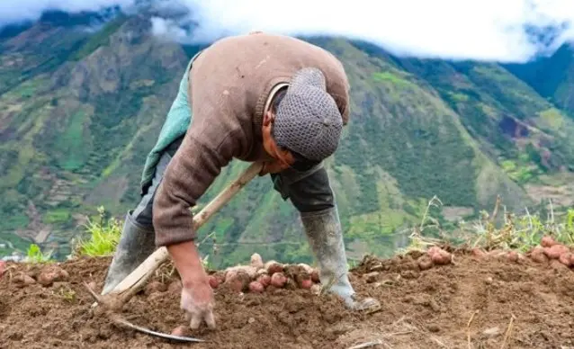 Día del Campesino